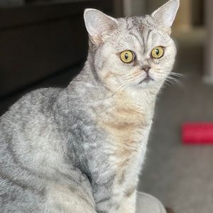 Meet your Posher, Olga